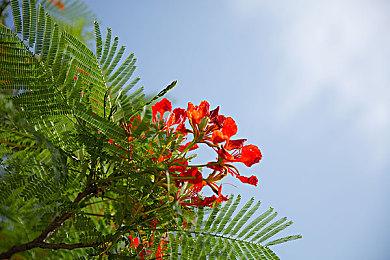 《鬼灭之刃：火神血风谭》疑似将于今年10月发售